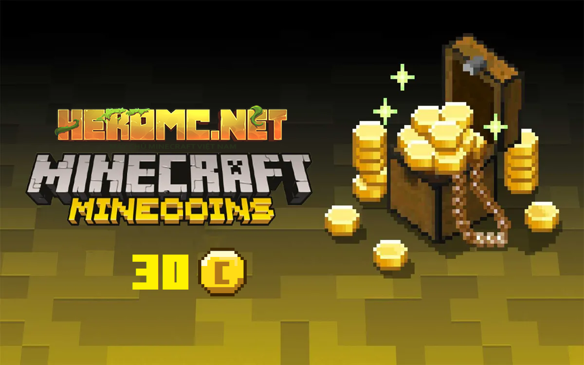 MINECRAFT HEROMC 30COIN